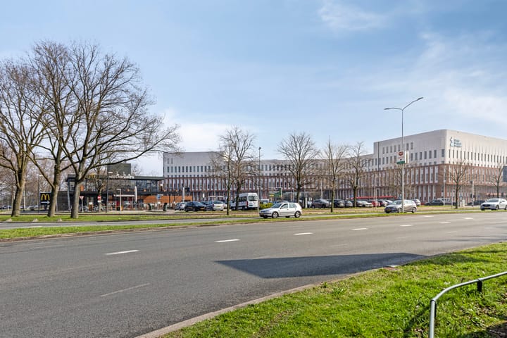 Photo 35 of Koning Davidstraat 221