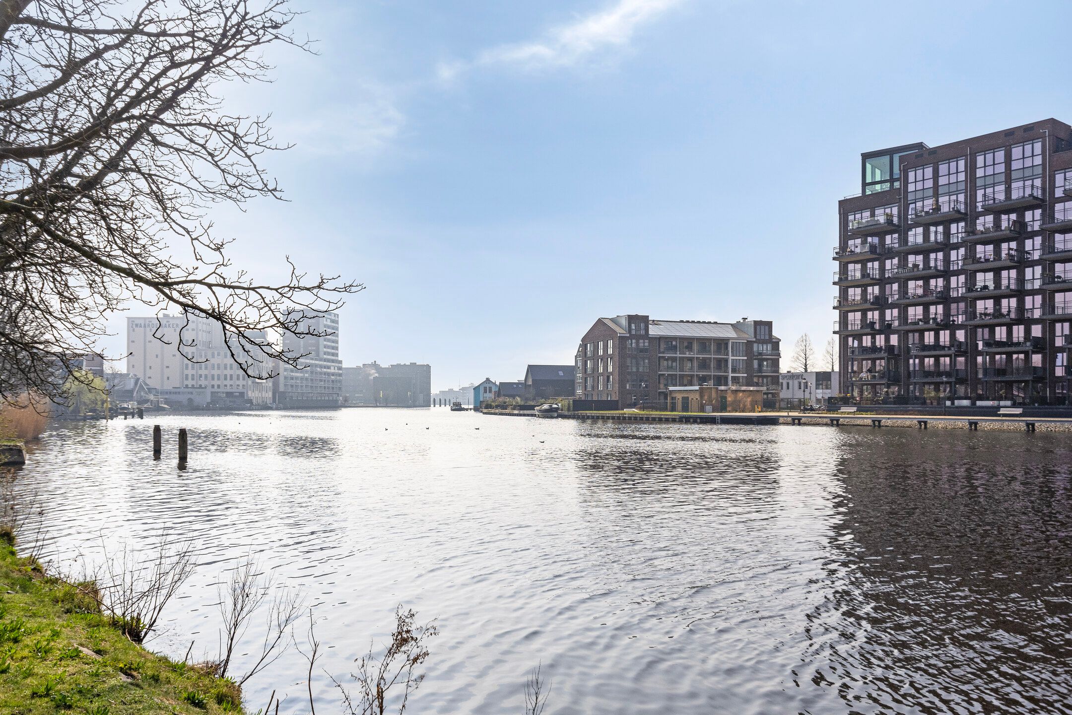 Photo 36 of Koning Davidstraat 221