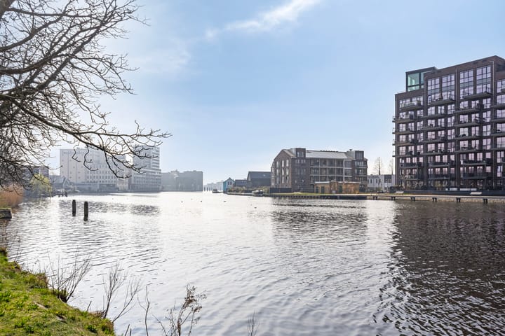 Photo 36 of Koning Davidstraat 221