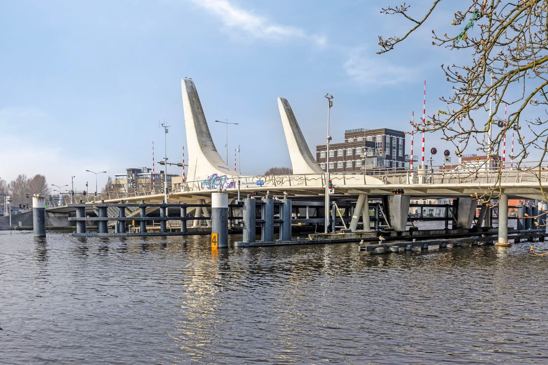 Photo 37 of Koning Davidstraat 221