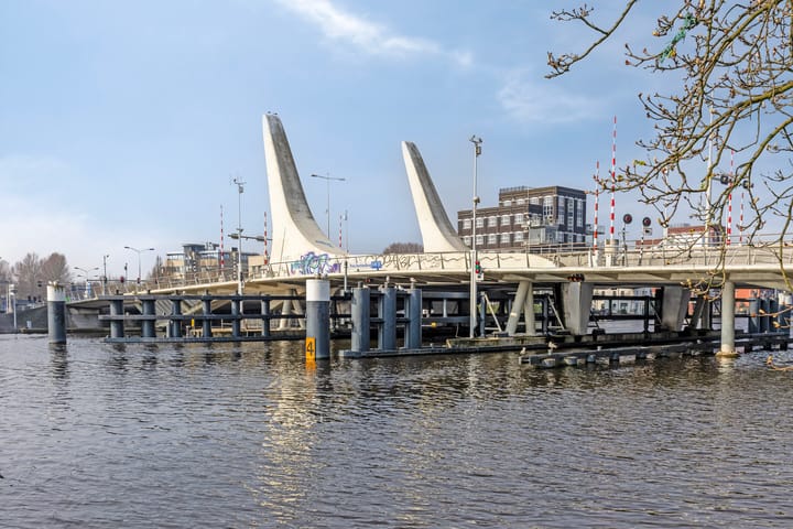 Photo 37 of Koning Davidstraat 221