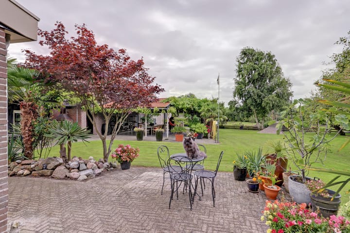 Foto 45 van Dijkweg 199