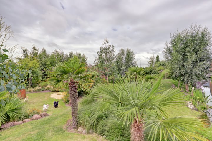 Foto 51 van Dijkweg 199