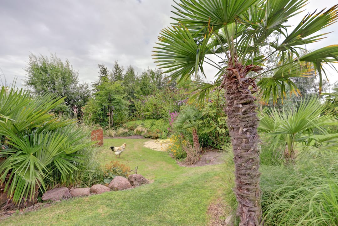 Foto 52 van Dijkweg 199