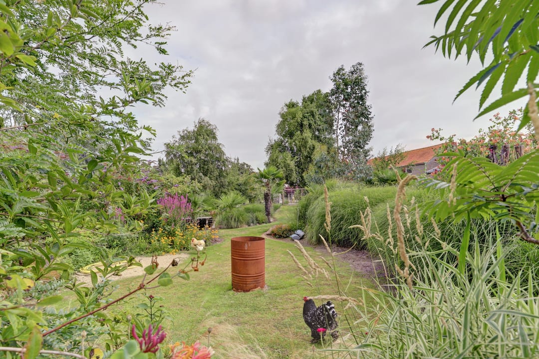 Foto 53 van Dijkweg 199