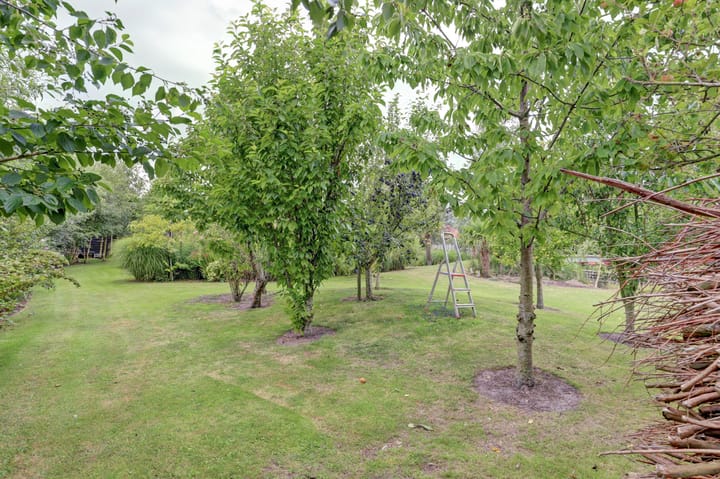 Foto 54 van Dijkweg 199