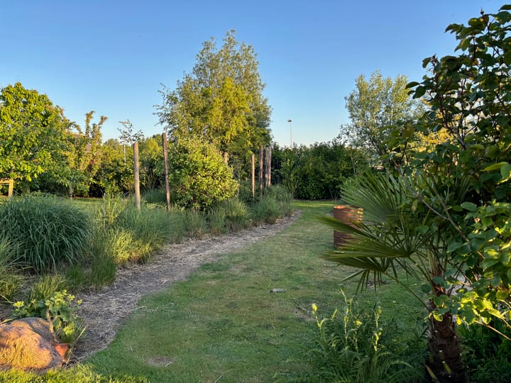 Foto 62 van Dijkweg 199