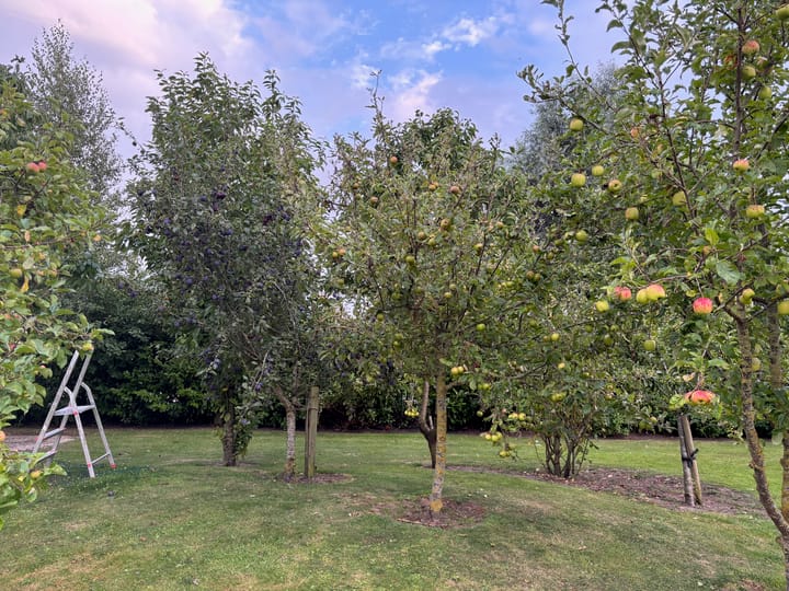 Foto 64 van Dijkweg 199