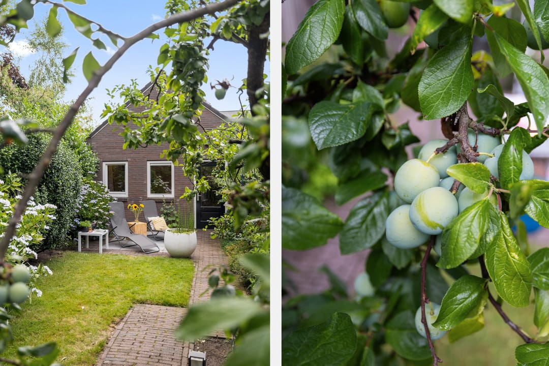 Foto 32 van Woenselsestraat 345