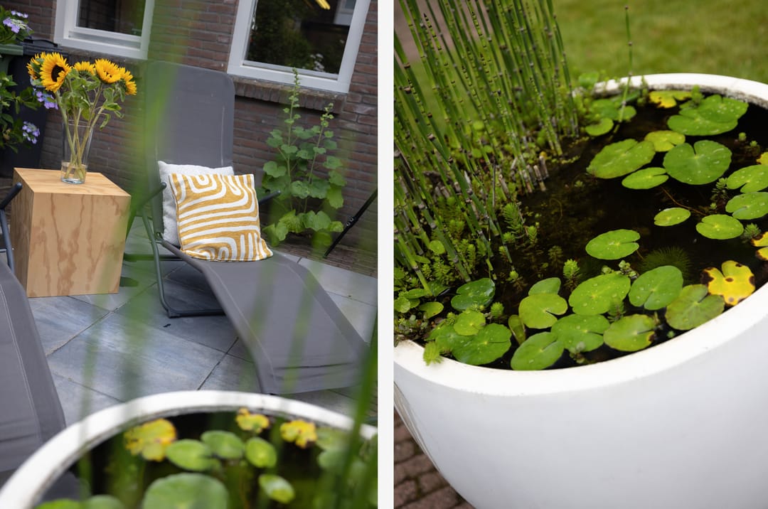 Foto 38 van Woenselsestraat 345