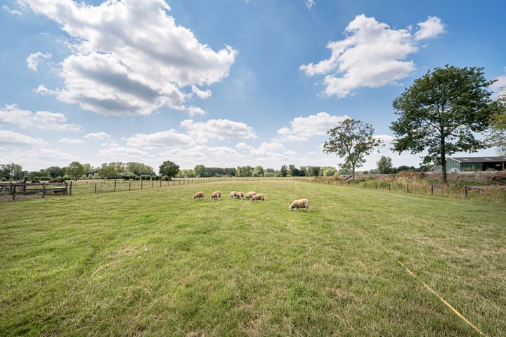 Photo 50 of Ollandseweg 183