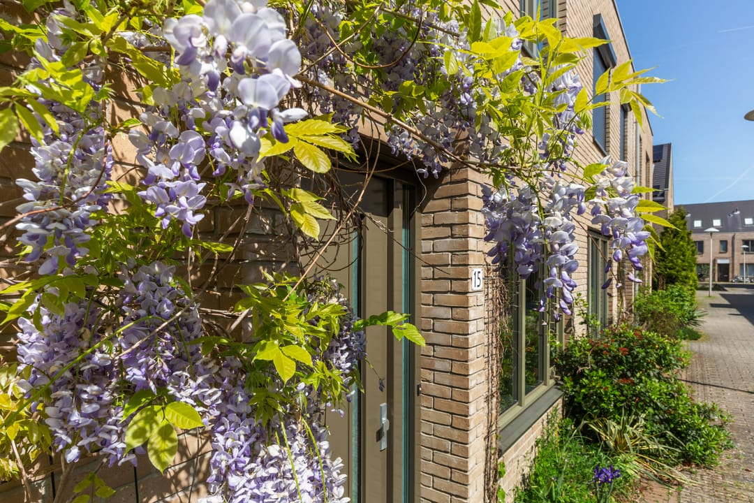 Photo 8 of Maria Theresiadreef 15