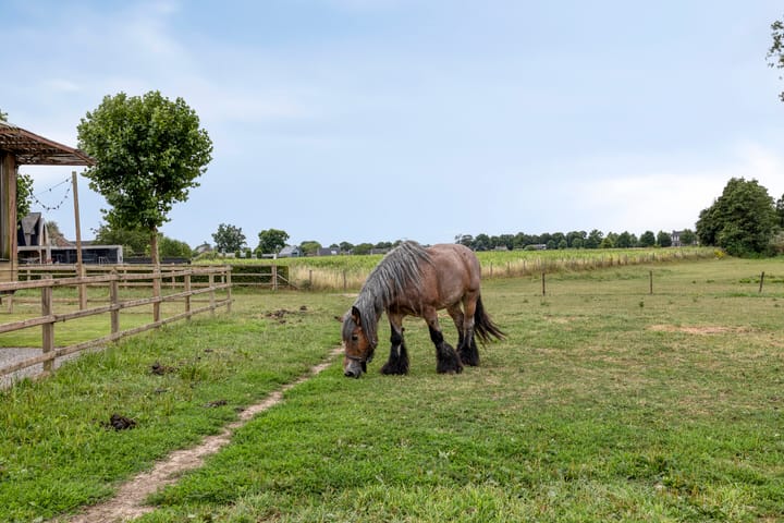 Foto 33 van Molenstraat 17-A