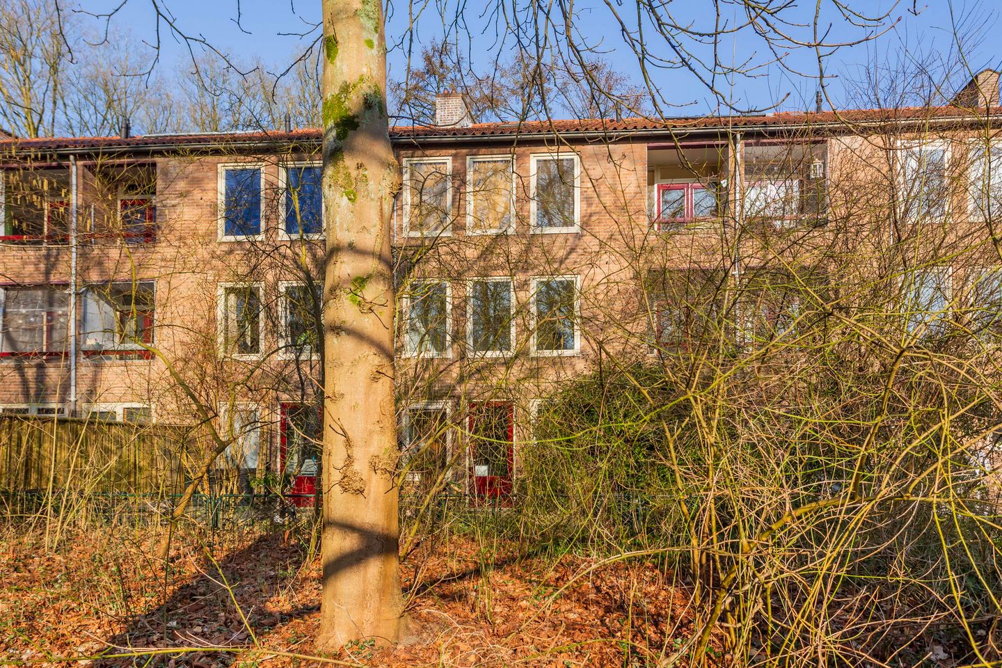 Foto 29 van Arubalaan 12-B