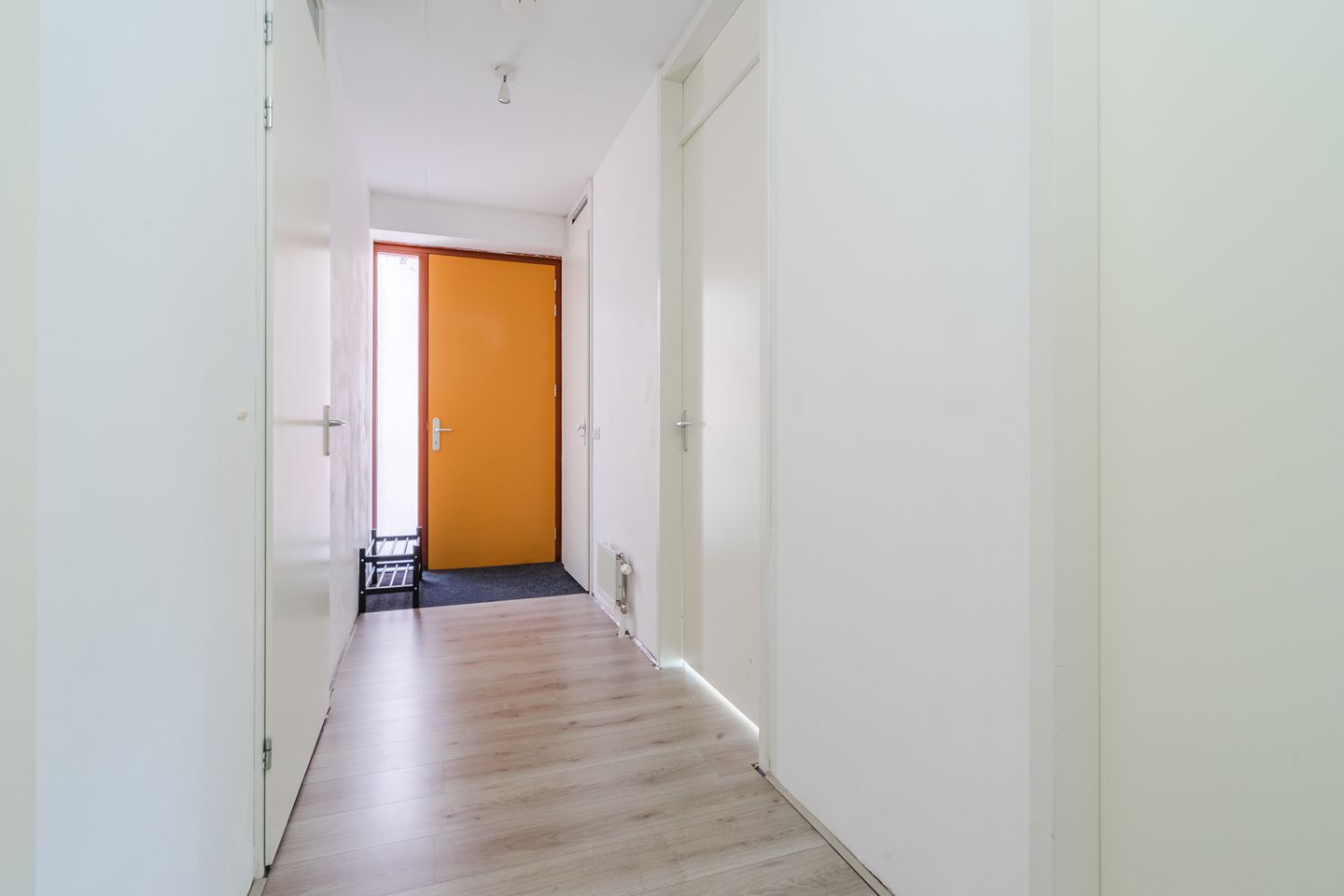 Foto 20 van Paulus Potterstraat 31