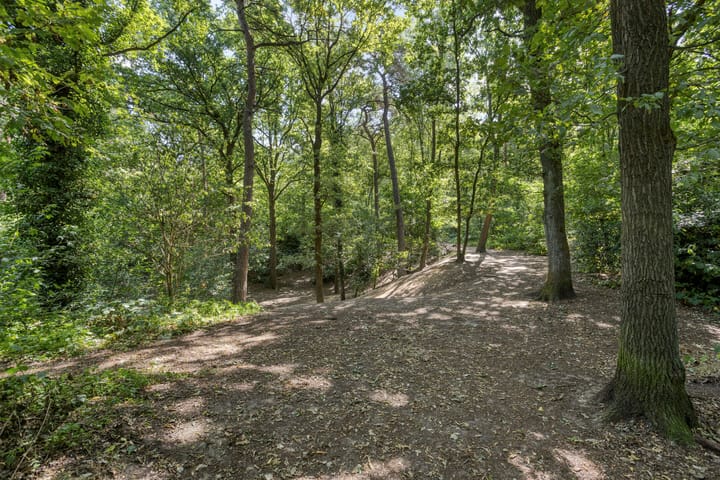 Foto 53 van Berkenlaan 44