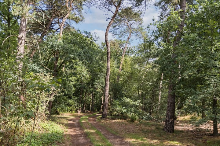 Photo 4 of Delmaweg 18