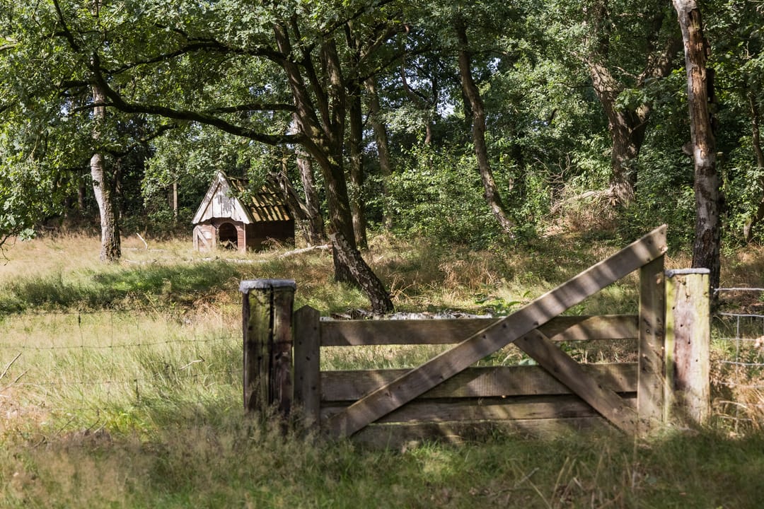 Foto 56 van Delmaweg 18