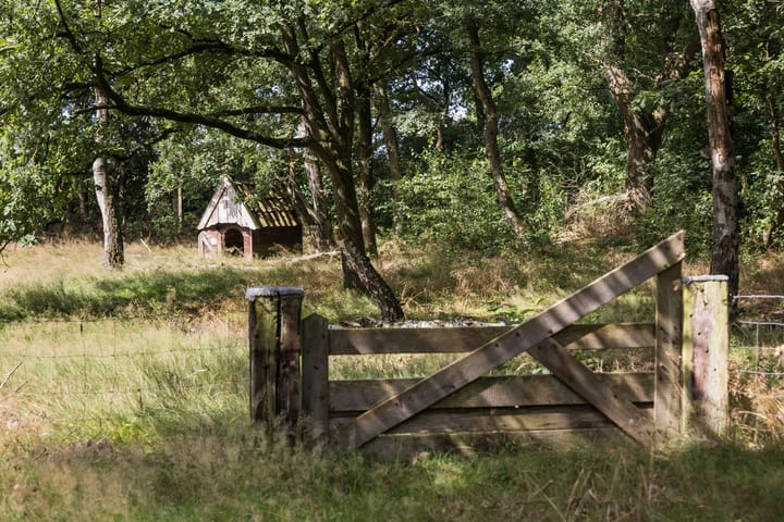 Foto 57 van Delmaweg 18