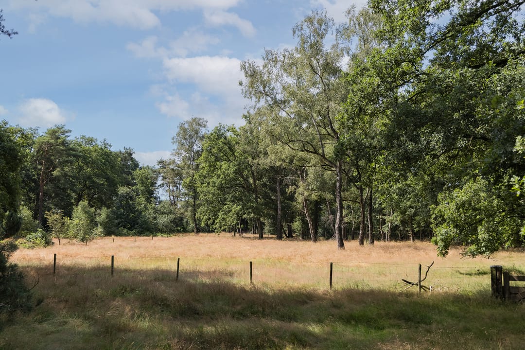 Foto 58 van Delmaweg 18