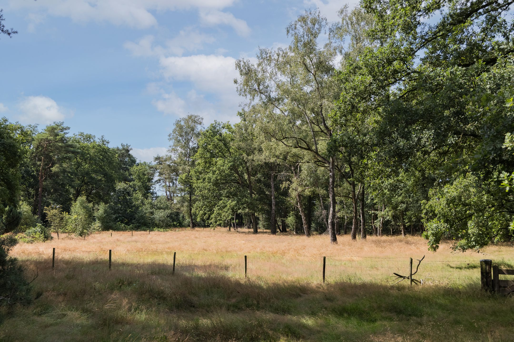 Foto 57 van Delmaweg 18