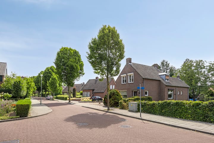 Foto 55 van Beukenlaan 8