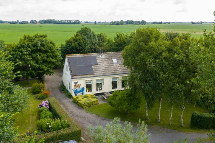 Foto 1 van Griene Reed 1