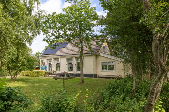 Foto 2 van Griene Reed 1