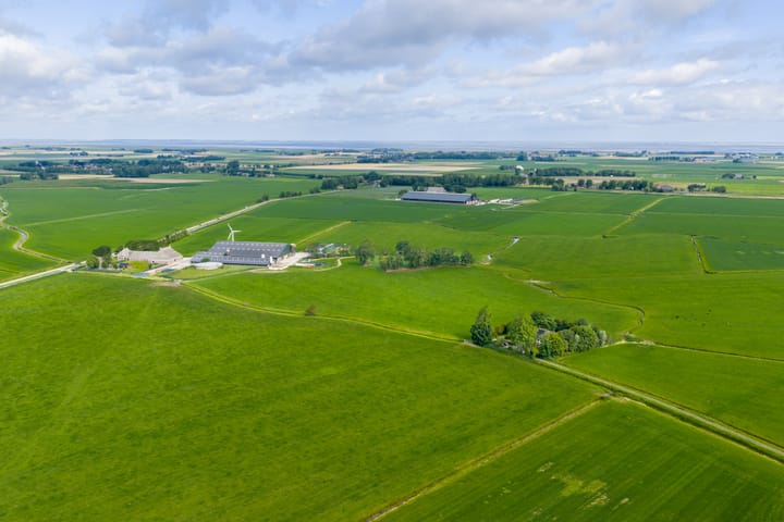 Foto 11 van Griene Reed 1