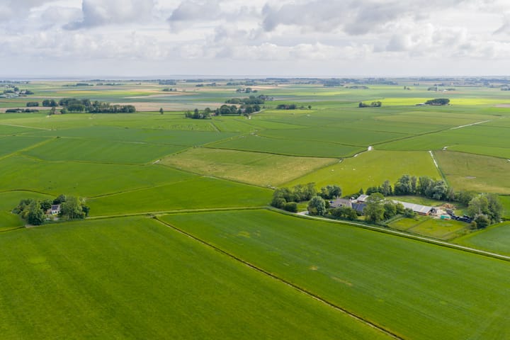 Foto 12 van Griene Reed 1