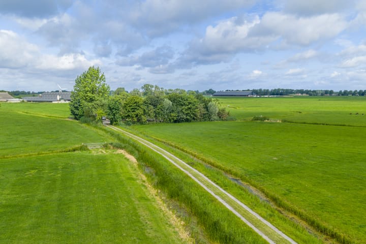 Foto 13 van Griene Reed 1