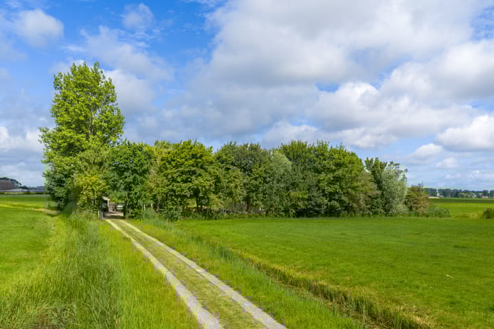 Foto 14 van Griene Reed 1