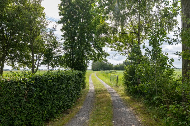 Foto 15 van Griene Reed 1