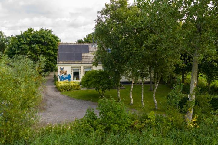 Foto 16 van Griene Reed 1