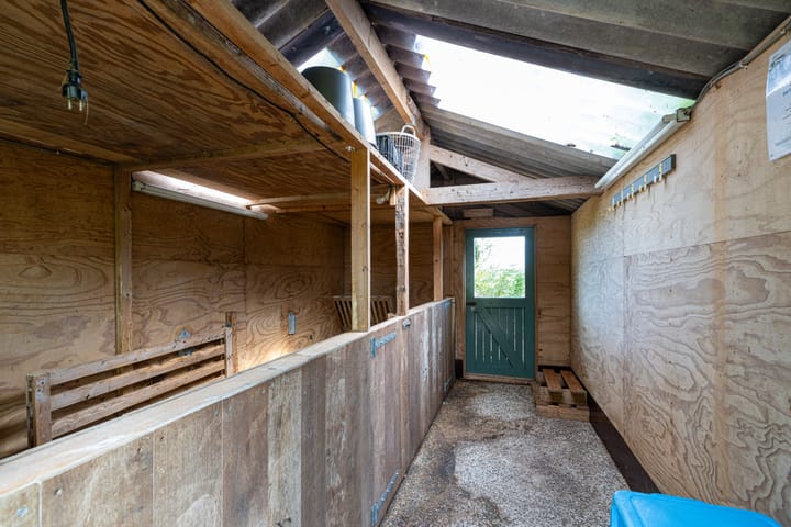 Foto 24 van Griene Reed 1