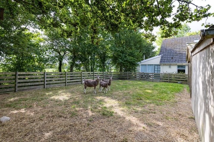 Foto 29 van Griene Reed 1