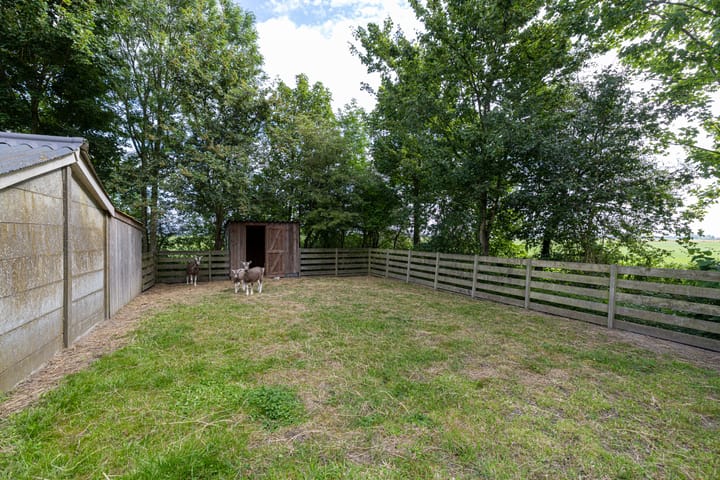 Foto 30 van Griene Reed 1