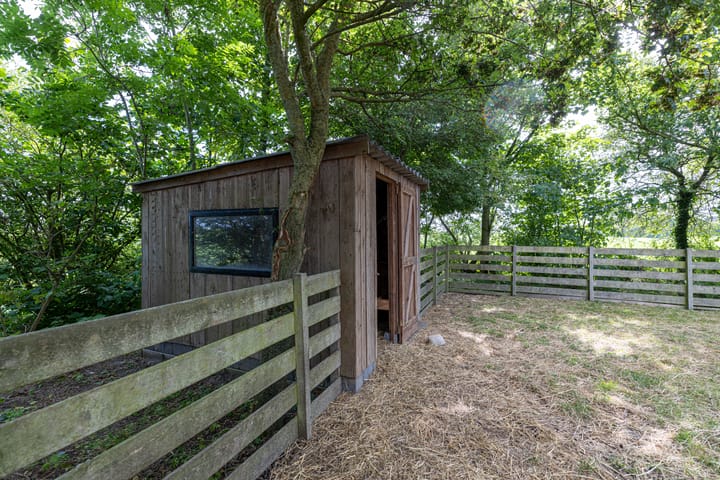 Foto 31 van Griene Reed 1