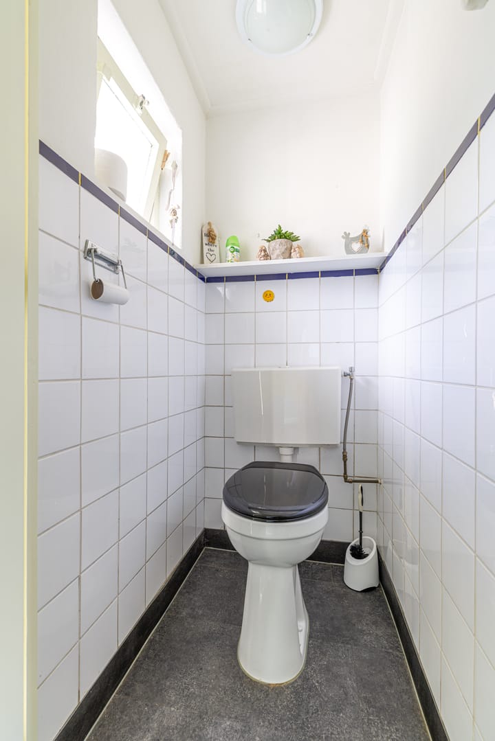 Foto 35 van Griene Reed 1