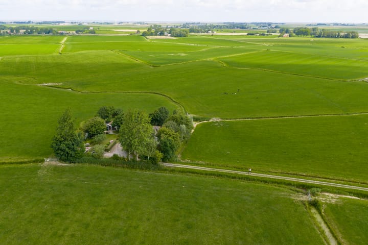 Foto 10 van Griene Reed 1