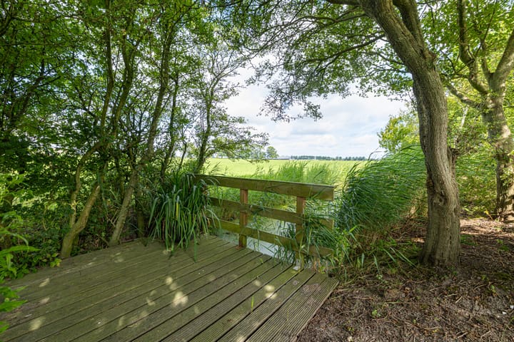 Foto 64 van Griene Reed 1