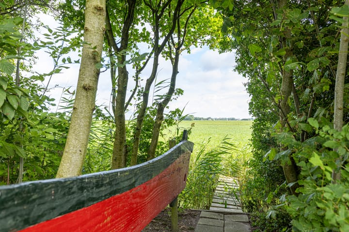 Foto 65 van Griene Reed 1