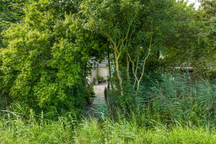 Foto 66 van Griene Reed 1