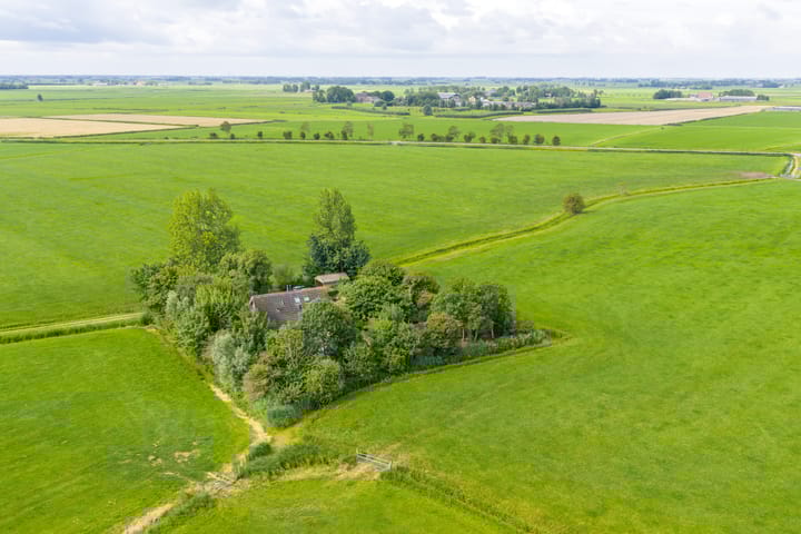 Foto 69 van Griene Reed 1