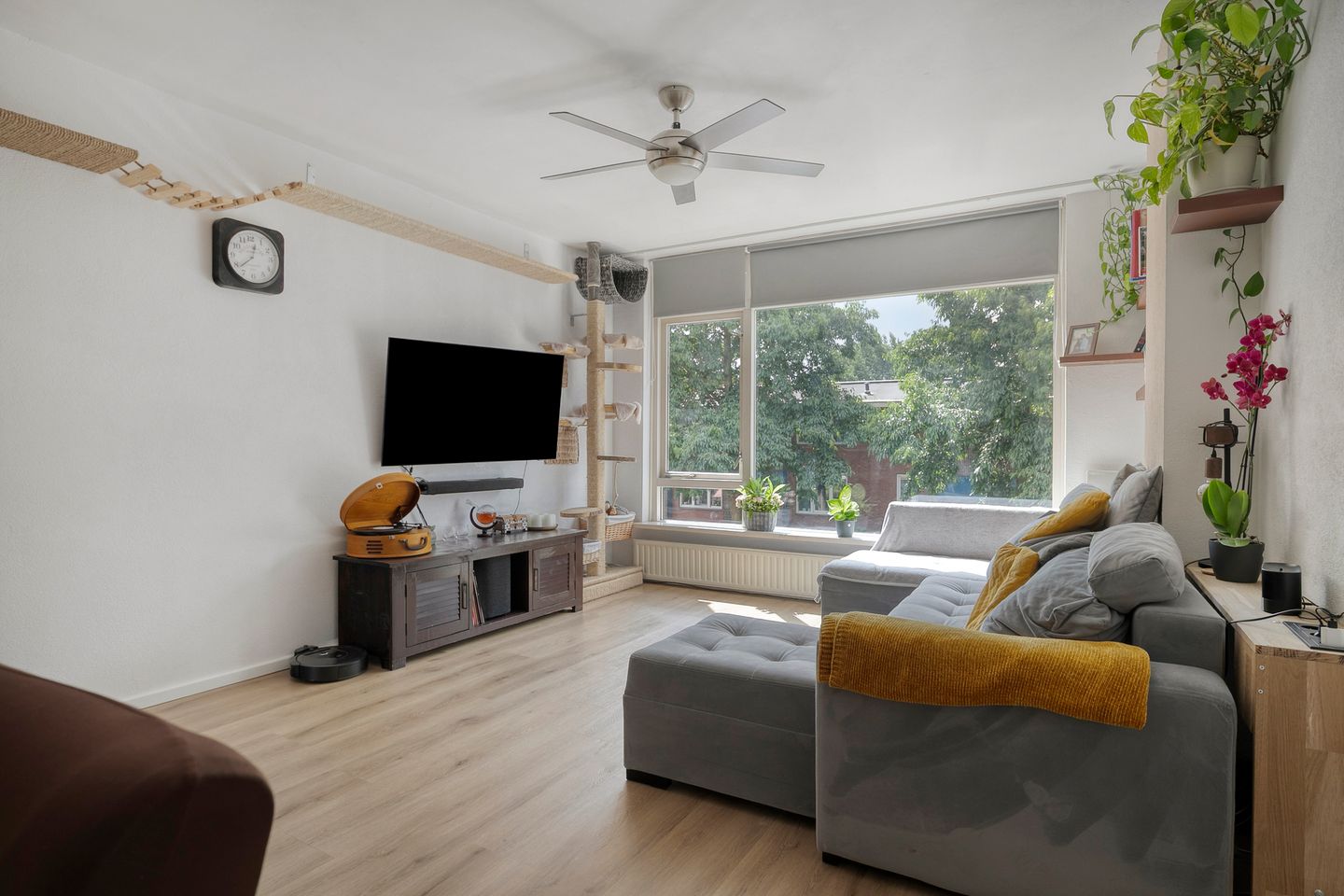 Foto 5 van van der Werffstraat 278