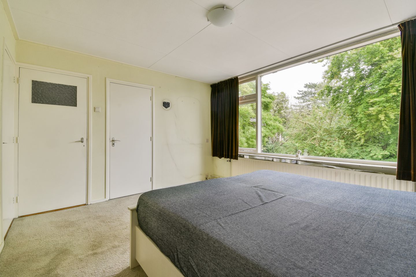 Foto 20 van Robinia 15