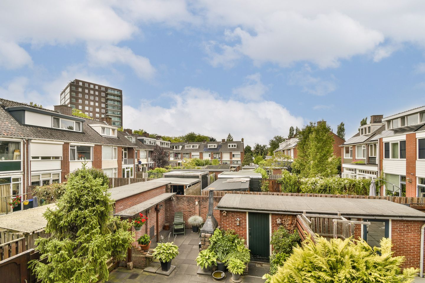 Foto 25 van Robinia 15