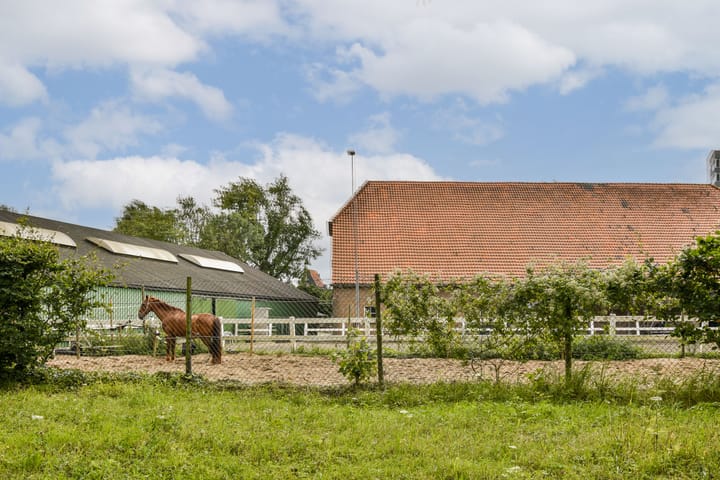 Foto 32 van Robinia 15