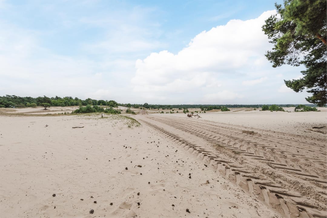 Foto 22 van Paaslohof 31