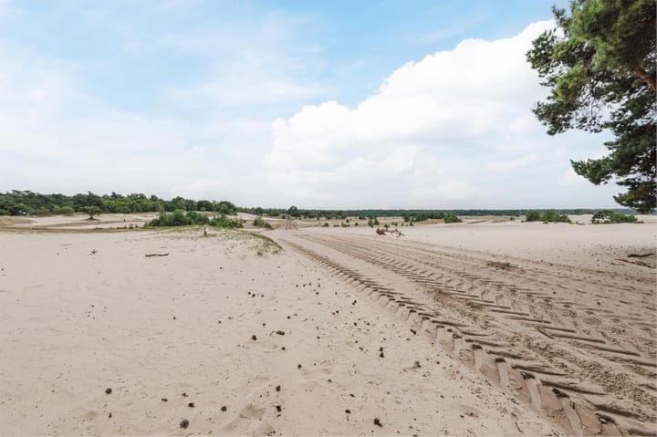 Foto 22 van Paaslohof 31